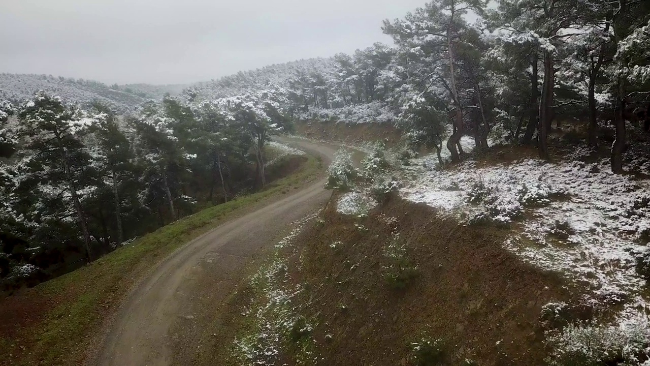 冬天森林里的土路，苏01视频素材