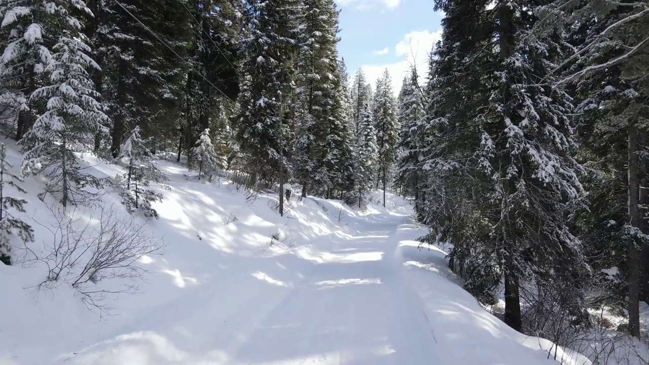 森林里的雪山路视频下载