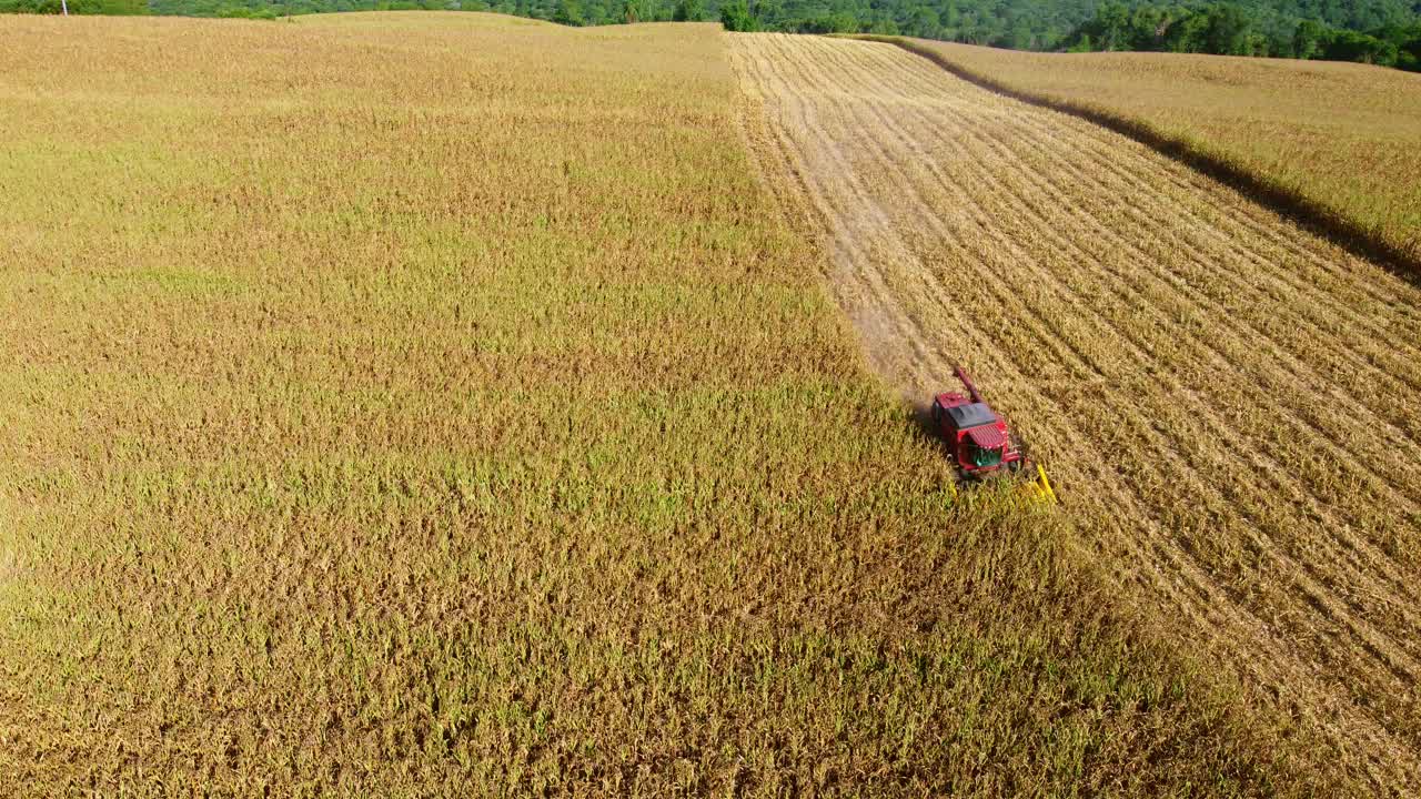 无人机拍摄的联合收割机在田里收割谷物视频素材