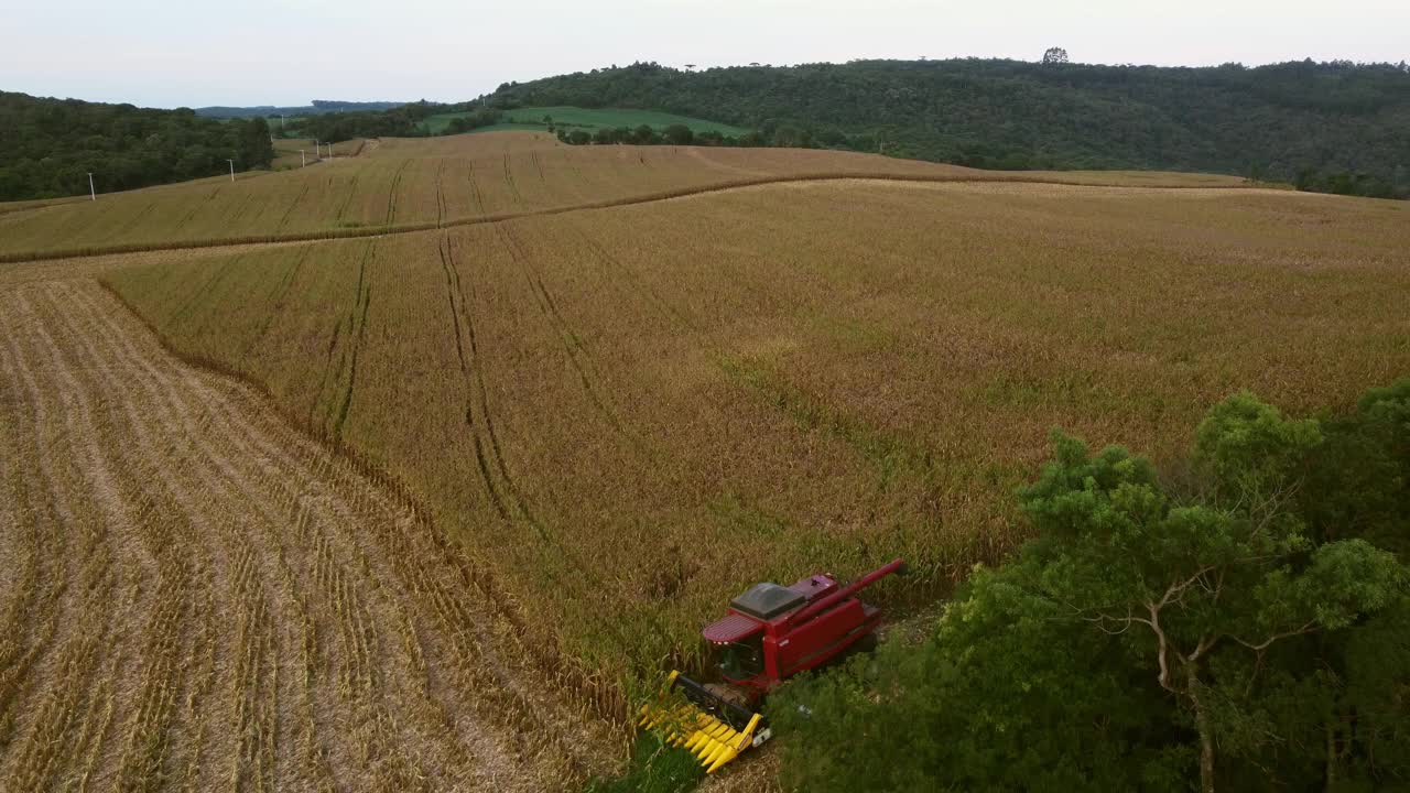 在空中俯瞰联合收割机收割地里的玉米视频素材