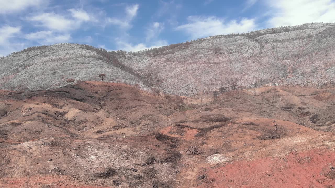 在毁灭性的森林大火后烧毁了山区的森林。森林大火破坏了自然。山坡上的焦土和树干。森林火灾后砍伐死树视频素材