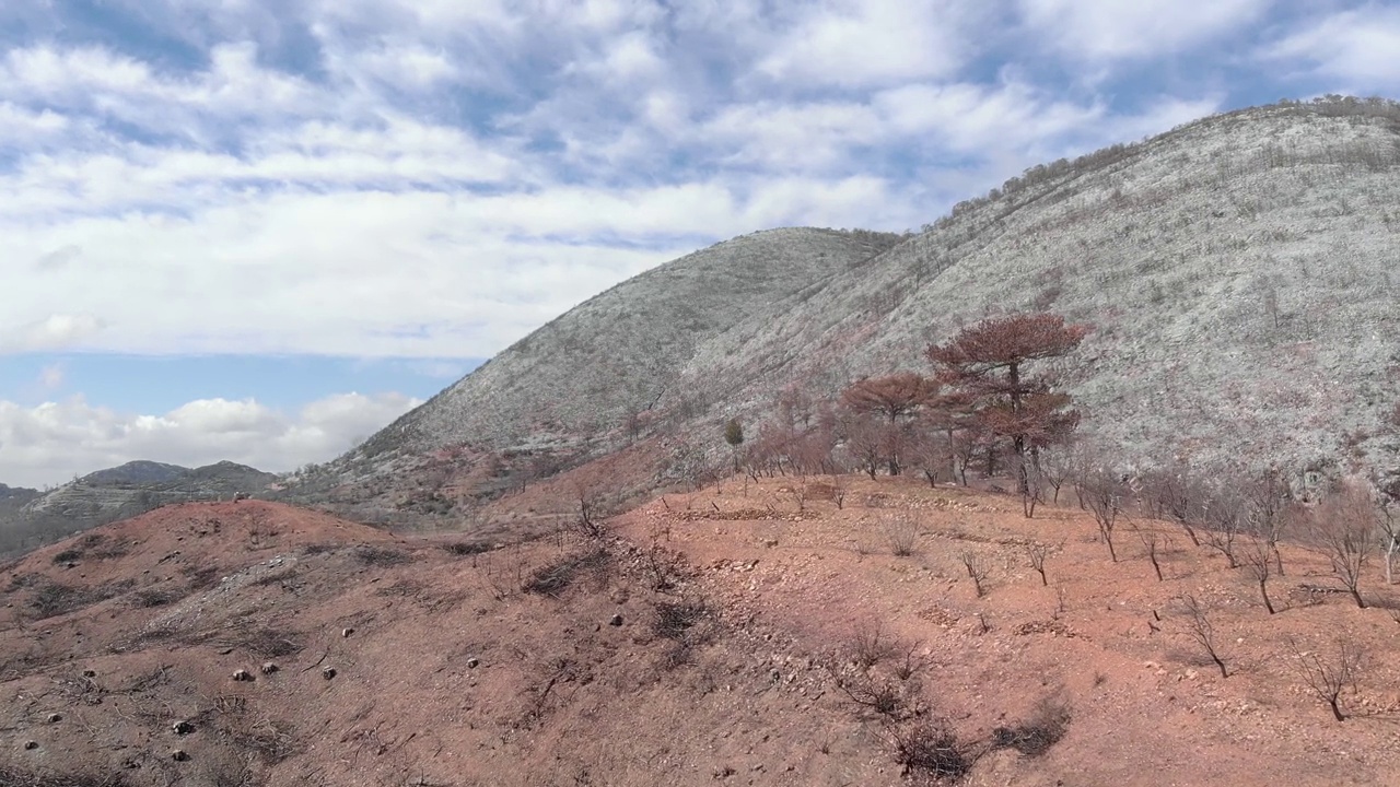 火灾后被破坏的森林。野火后烧毁的树干，无人机拍摄。森林大火后，广阔的山区被烧毁。土耳其的山脉和森林在大火后被烧毁视频素材