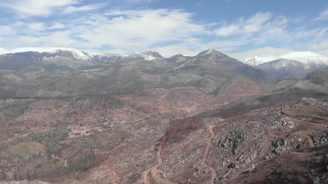 鸟瞰雪山山峰和火灾后燃烧的森林。森林大火后被烧焦的树木和背景上的山脉。森林大火后被砍伐的松树林视频素材