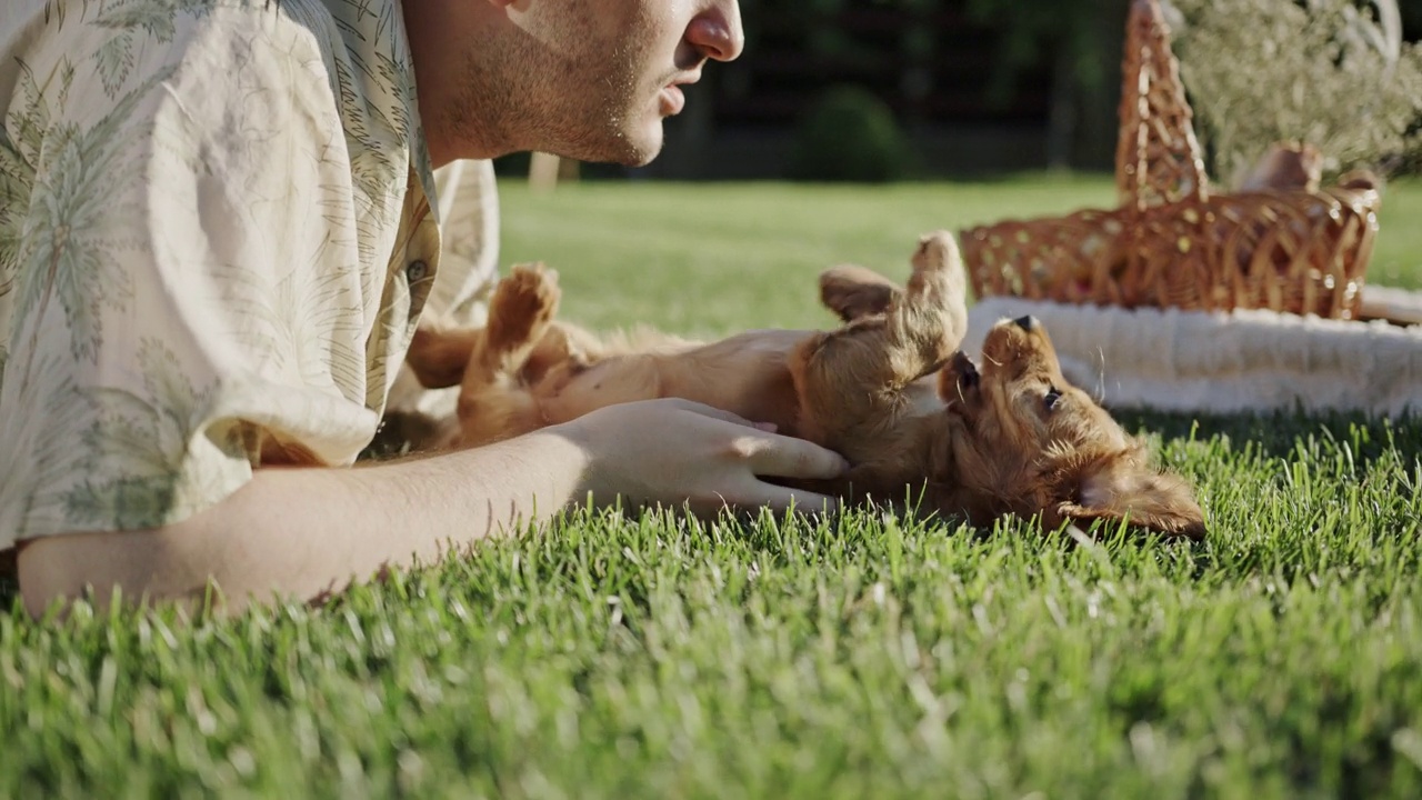 快乐的小男孩和小狗一起躺在绿油油的草地上玩耍，和爱犬卡卡犬一起野餐的动物视频下载