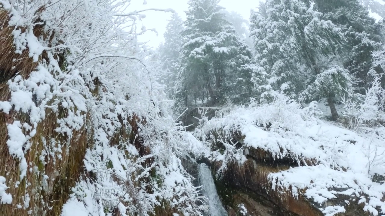 在印度喜马偕尔邦的库鲁，在冬季降雪期间观看嘉娜瀑布的流动。在降雪期间观赏瀑布。冬天的背景。视频素材