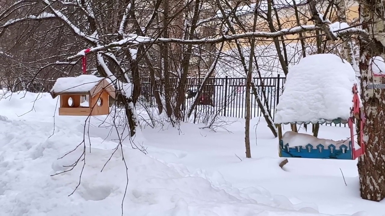 悬挂木制喂鸟器户外在冬天的雪视频素材