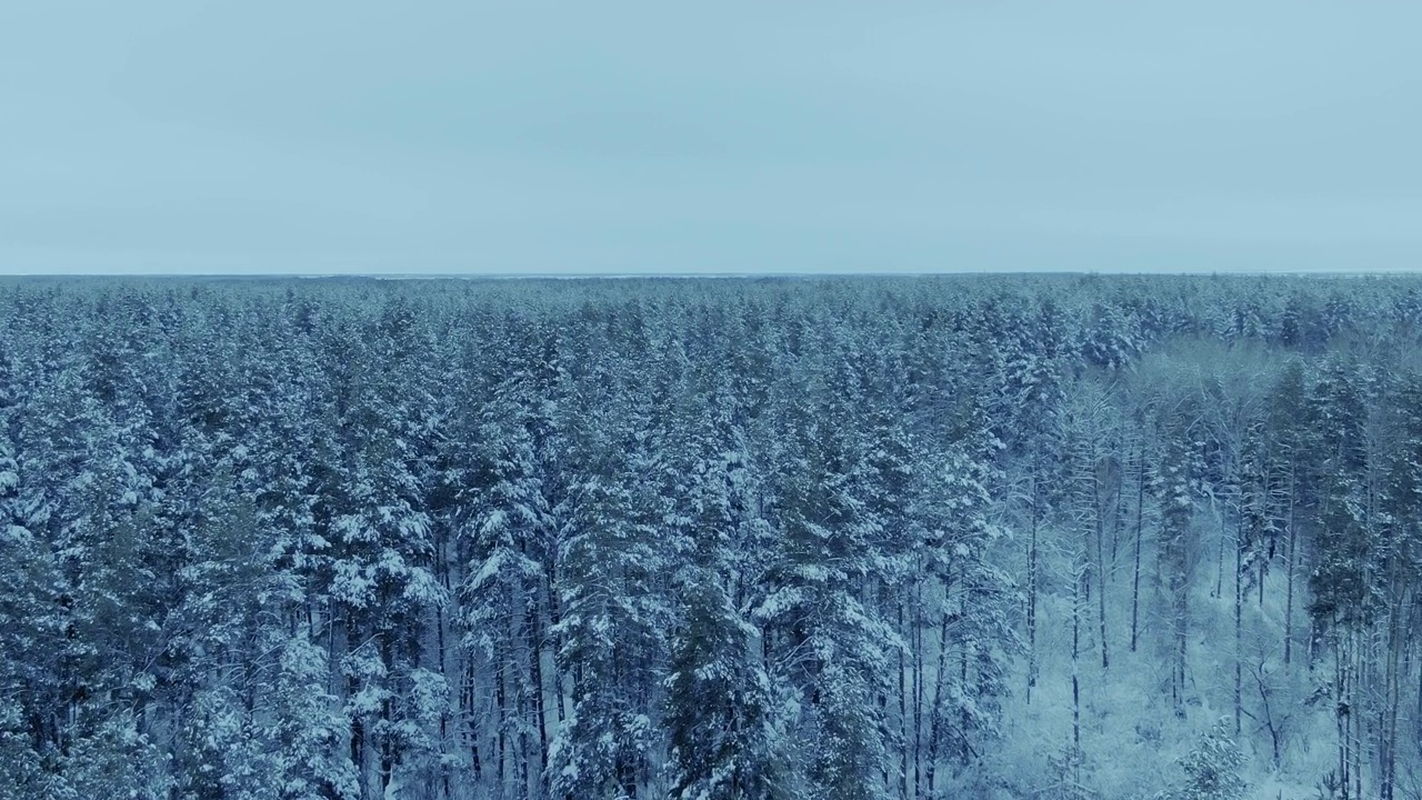 一架直升机飞过一片雪白的雪地，飞向一片神奇的白雪覆盖的森林。树梢和树枝在雪天，霜冻的冬日。4 k, ProRes视频素材