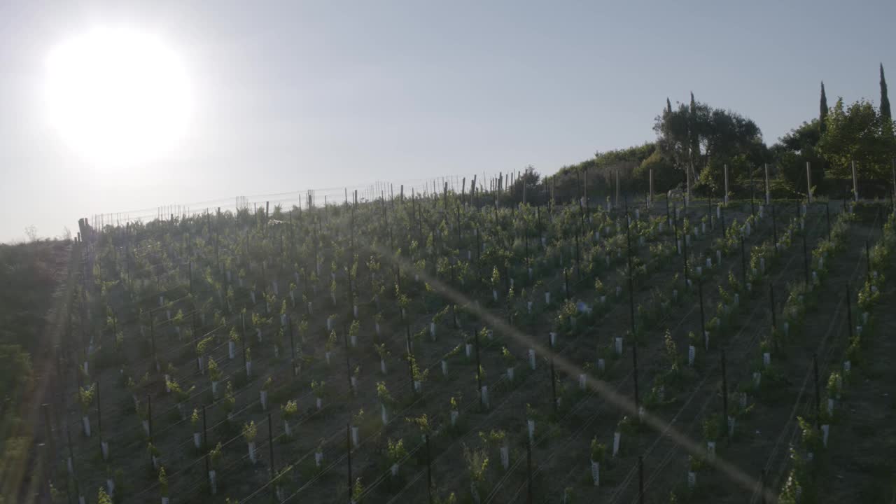 加州马里布，空中淘选葡萄园的美丽景色视频素材