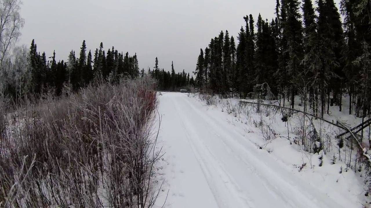 森林中树木的空中生长，无人机向前飞行在雪景-费尔班克斯，阿拉斯加视频素材