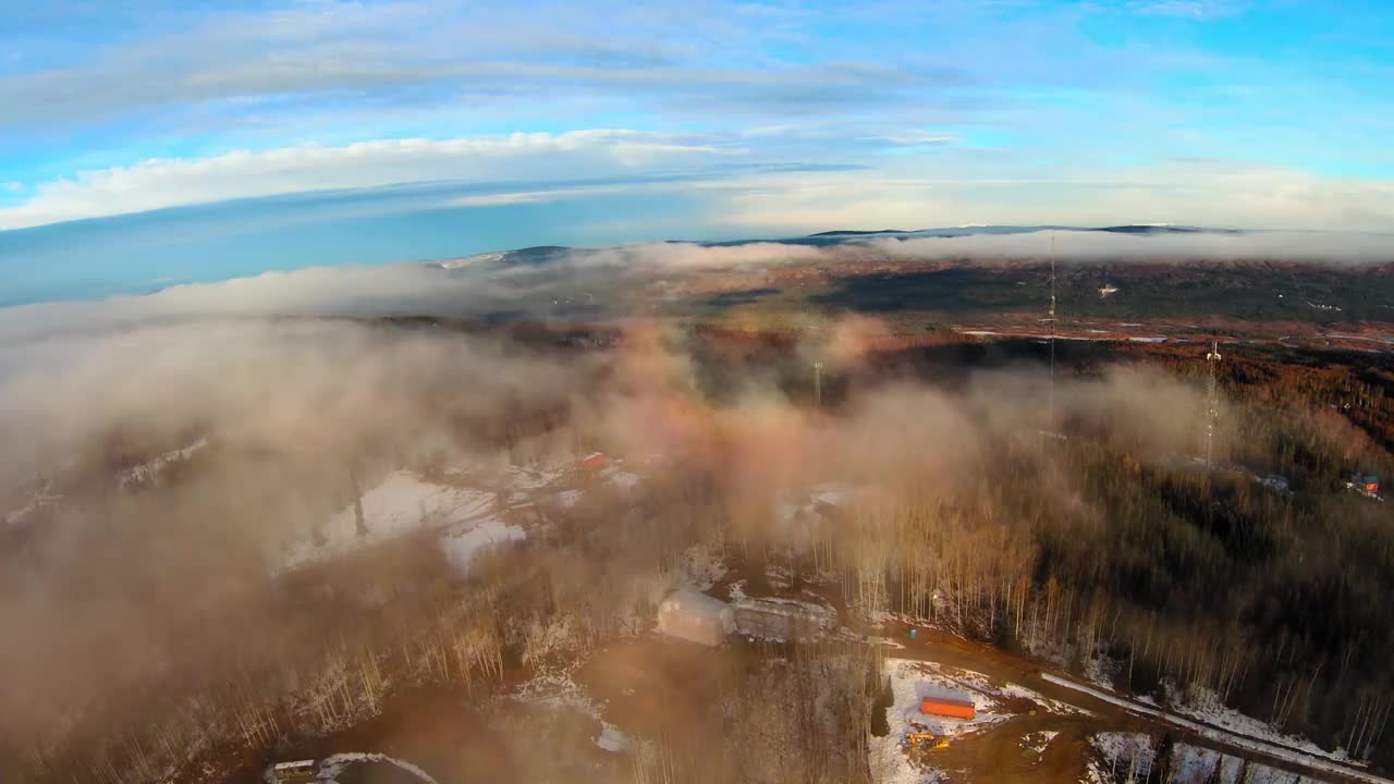 空中下降前进美丽的镜头在雪原森林-费尔班克斯，阿拉斯加视频素材