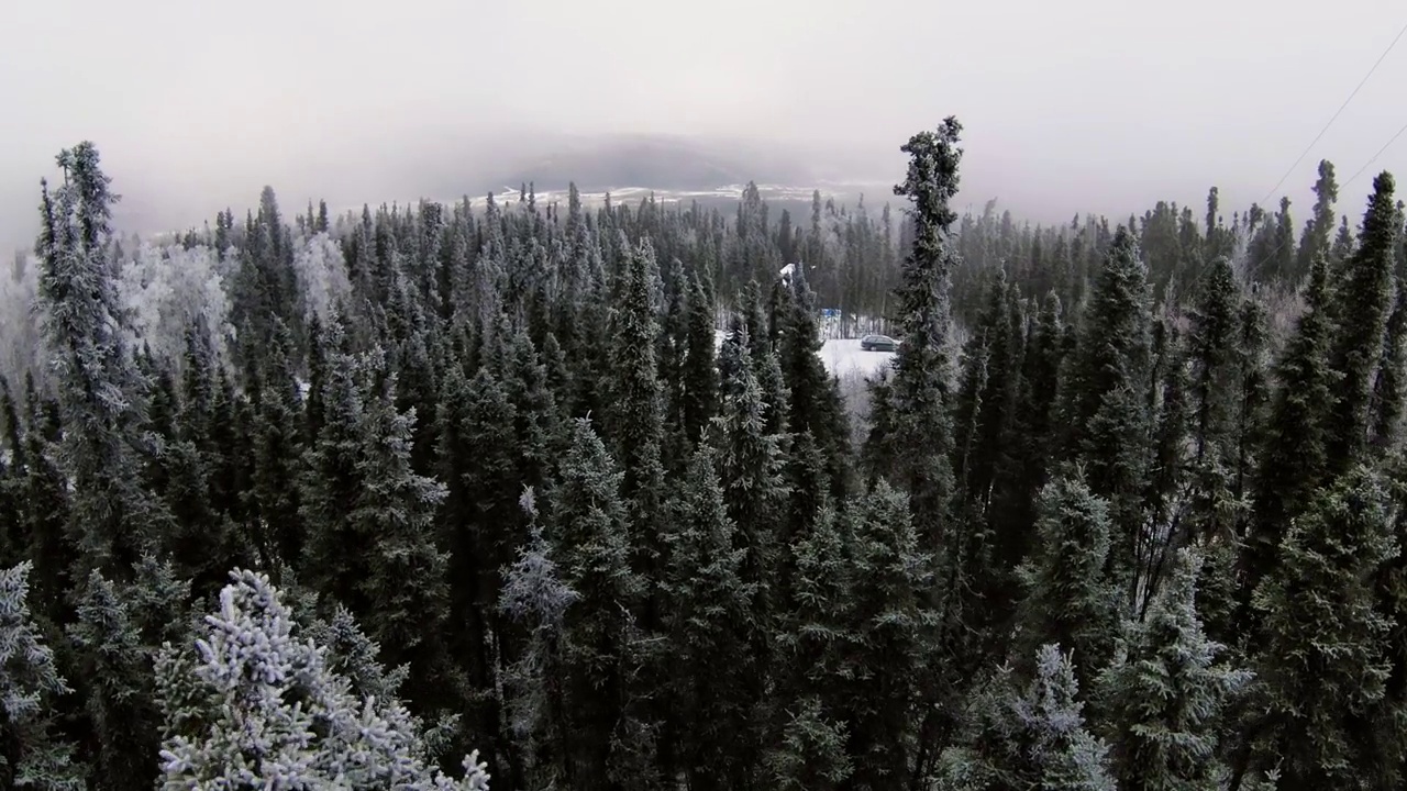 空中拍摄的汽车在积雪覆盖的景观，无人机飞行在森林的树木-费尔班克斯，阿拉斯加视频素材