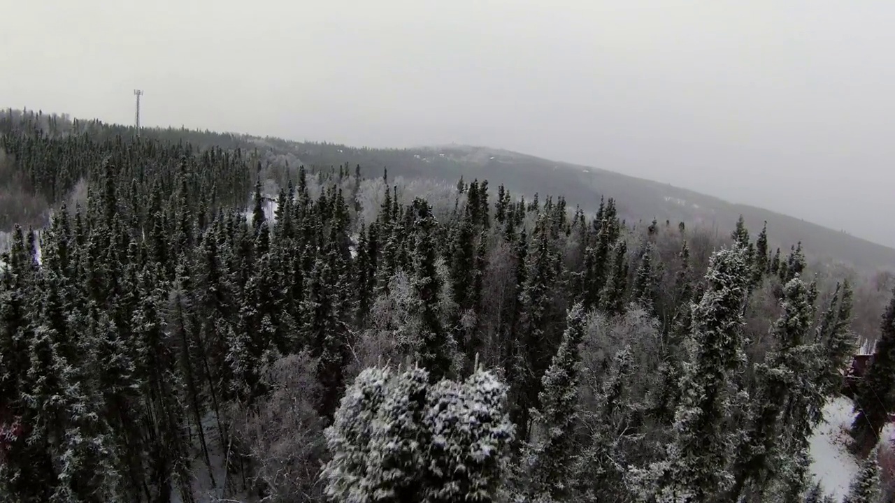 空中向前生长的树木在雪山森林-费尔班克斯，阿拉斯加视频素材