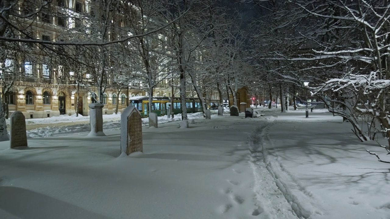 在暴风雪期间，赫尔辛基中心公园的景色视频素材