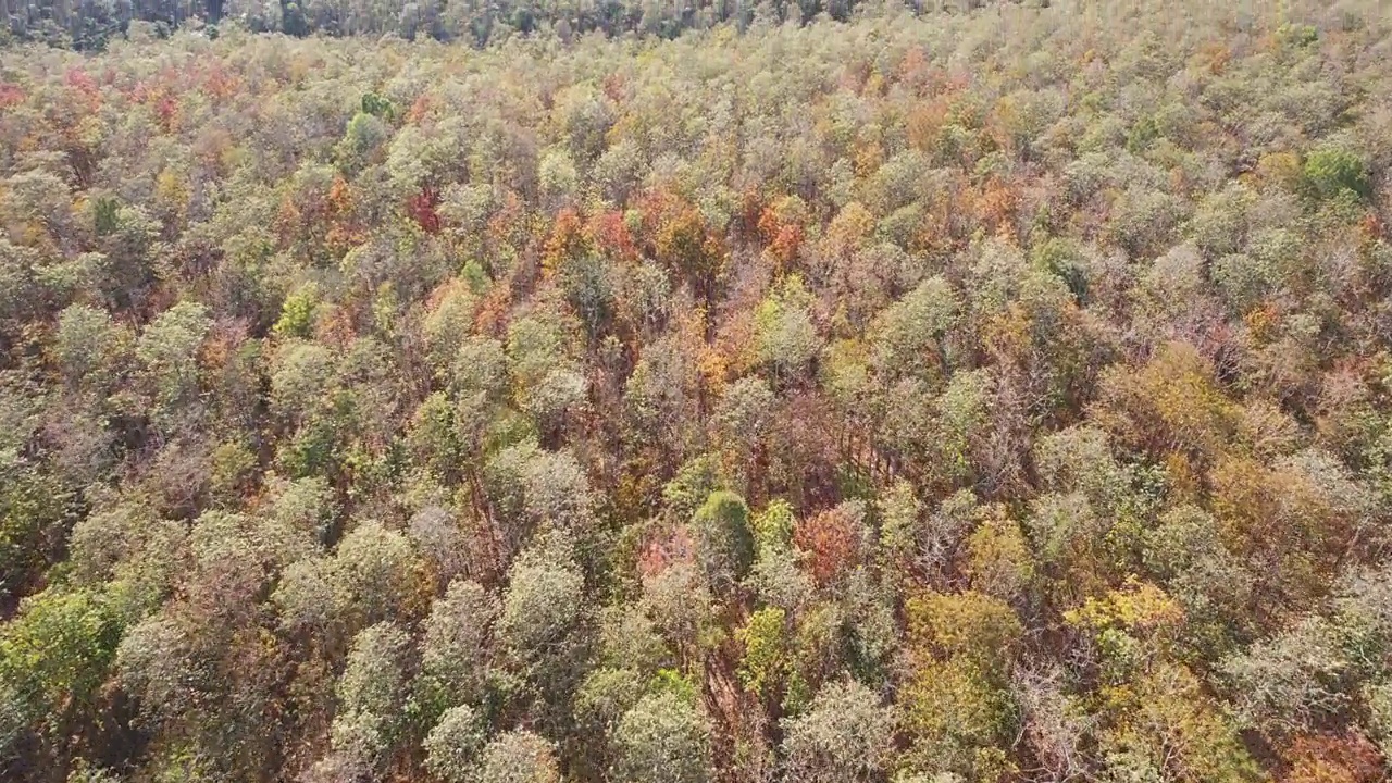 鸟瞰图，琅江道石灰岩山与公路之间的秋天森林在明亮的一天视频素材