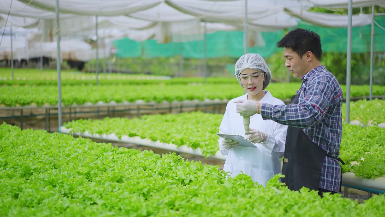 亚洲女性科学家和亚洲男性农民一起工作，在温室实验中检查一种有机蔬菜的水培实验结果。视频素材