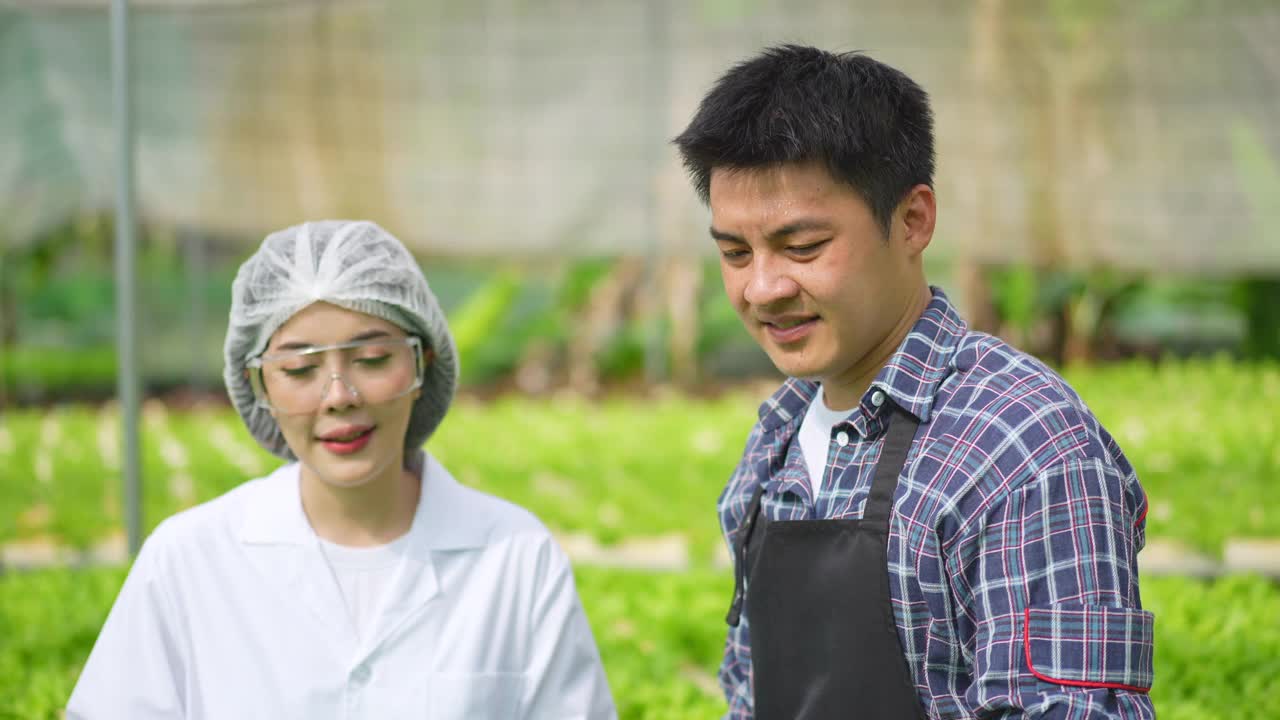 亚洲女性科学家和亚洲男性农民一起工作，在温室实验中检查一种有机蔬菜的水培实验结果。视频素材