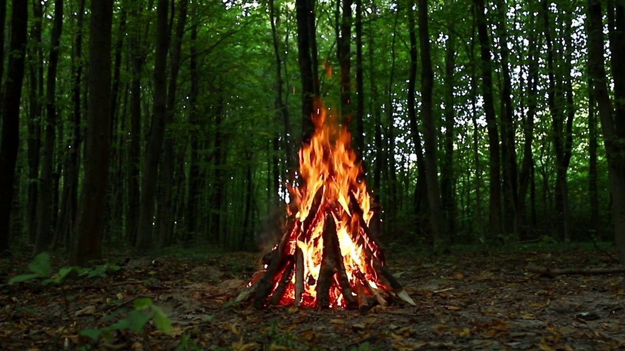 明亮的火焰燃烧的火焰在黑暗的背景上的森林在夏天的晚上。在火中燃烧的树枝，火焰的舌头。徒步旅行。旅游业。旅行。的生活方式。视频素材