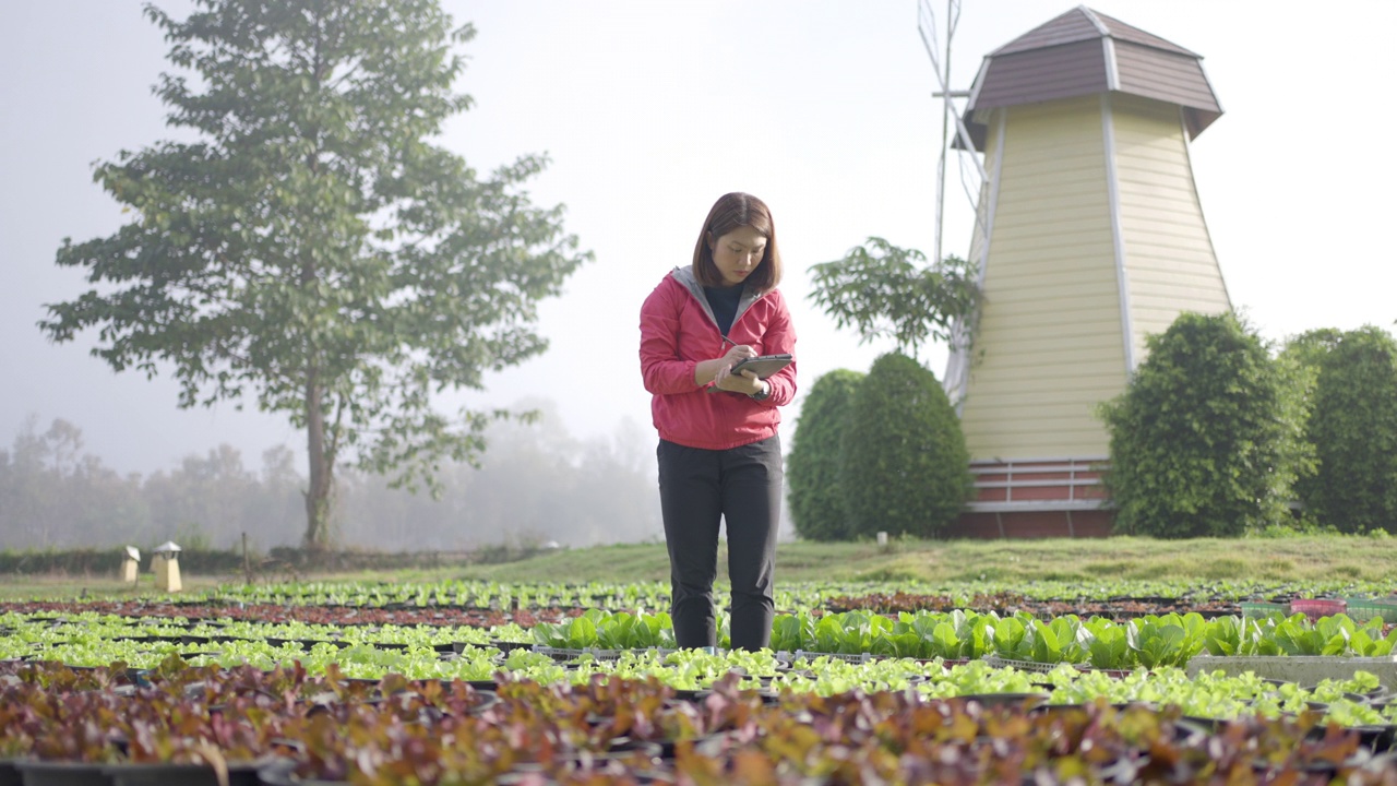 女性农民研究人员和检查有机蔬菜种植与数字平板电脑视频素材