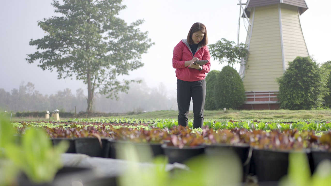 女性农民研究人员和检查有机蔬菜种植与数字平板电脑视频素材