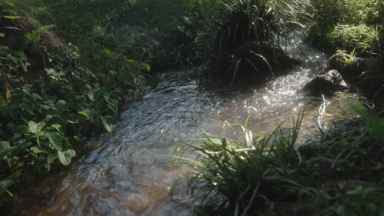 野营地景观与小小溪和白色帐篷视频素材