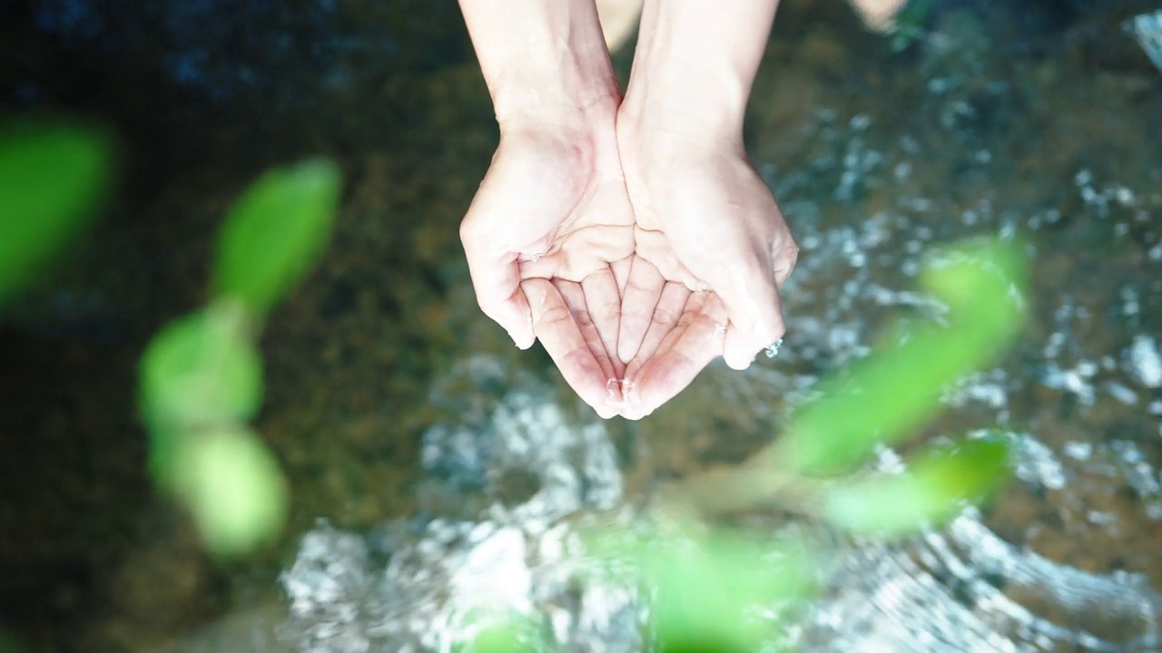 俯视图妇女手杯收集清澈的水从小溪流在森林视频素材