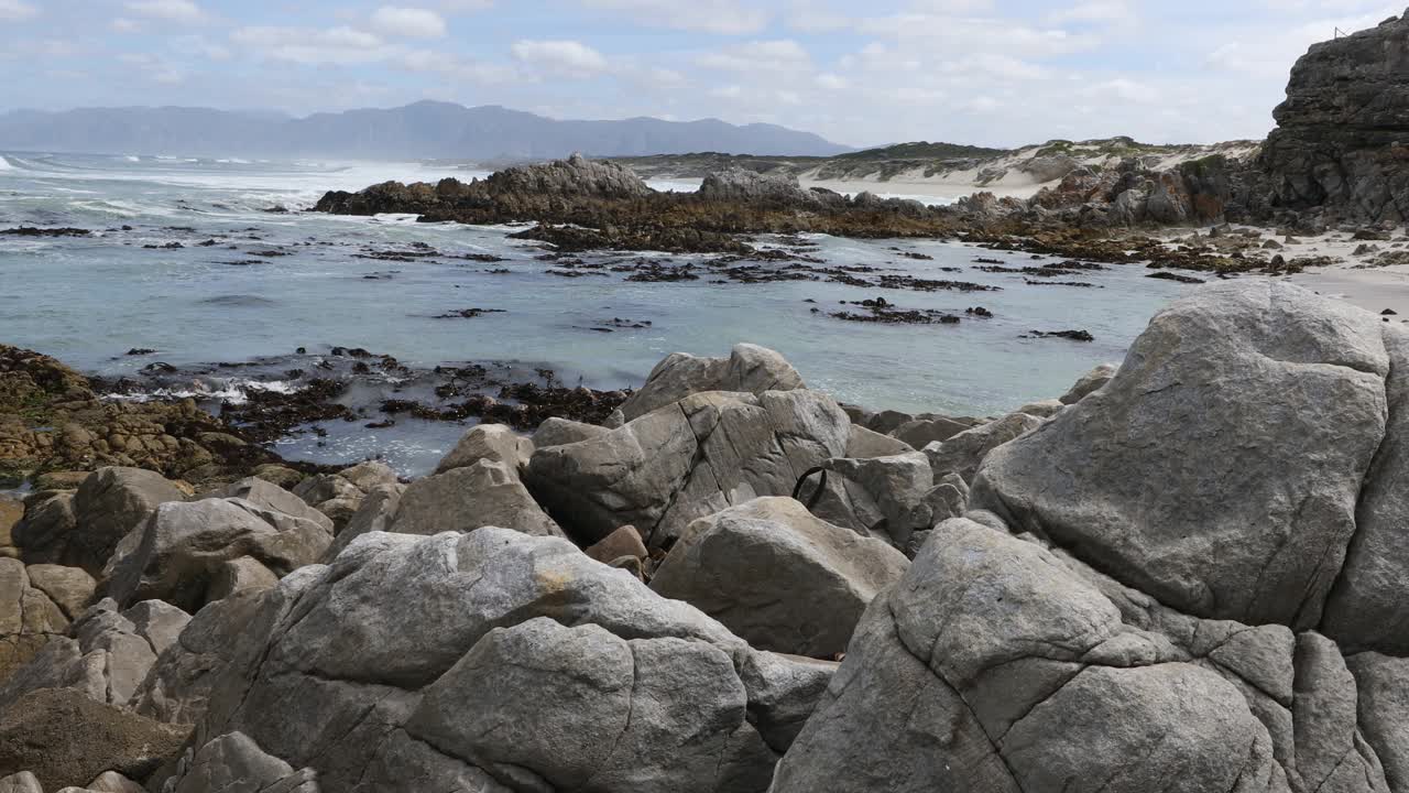 岩石海岸，沃克湾自然保护区视频素材