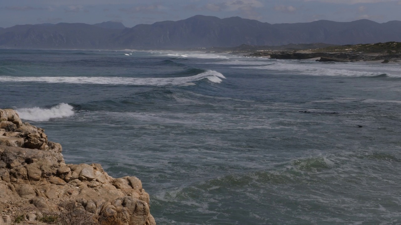 岩石海岸，沃克湾自然保护区视频素材