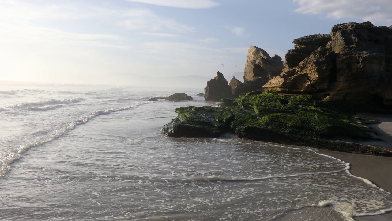 岩石海岸，沃克湾自然保护区视频素材