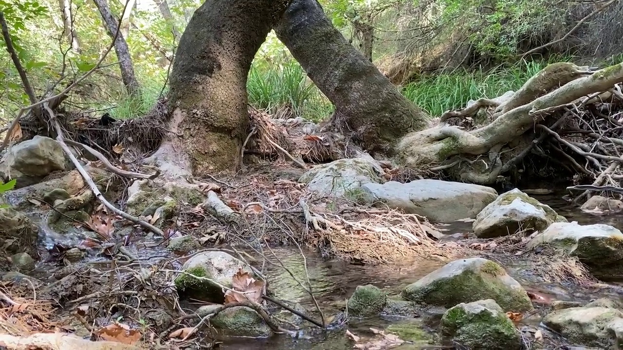 流动的河流和苔藓的岩石视频素材