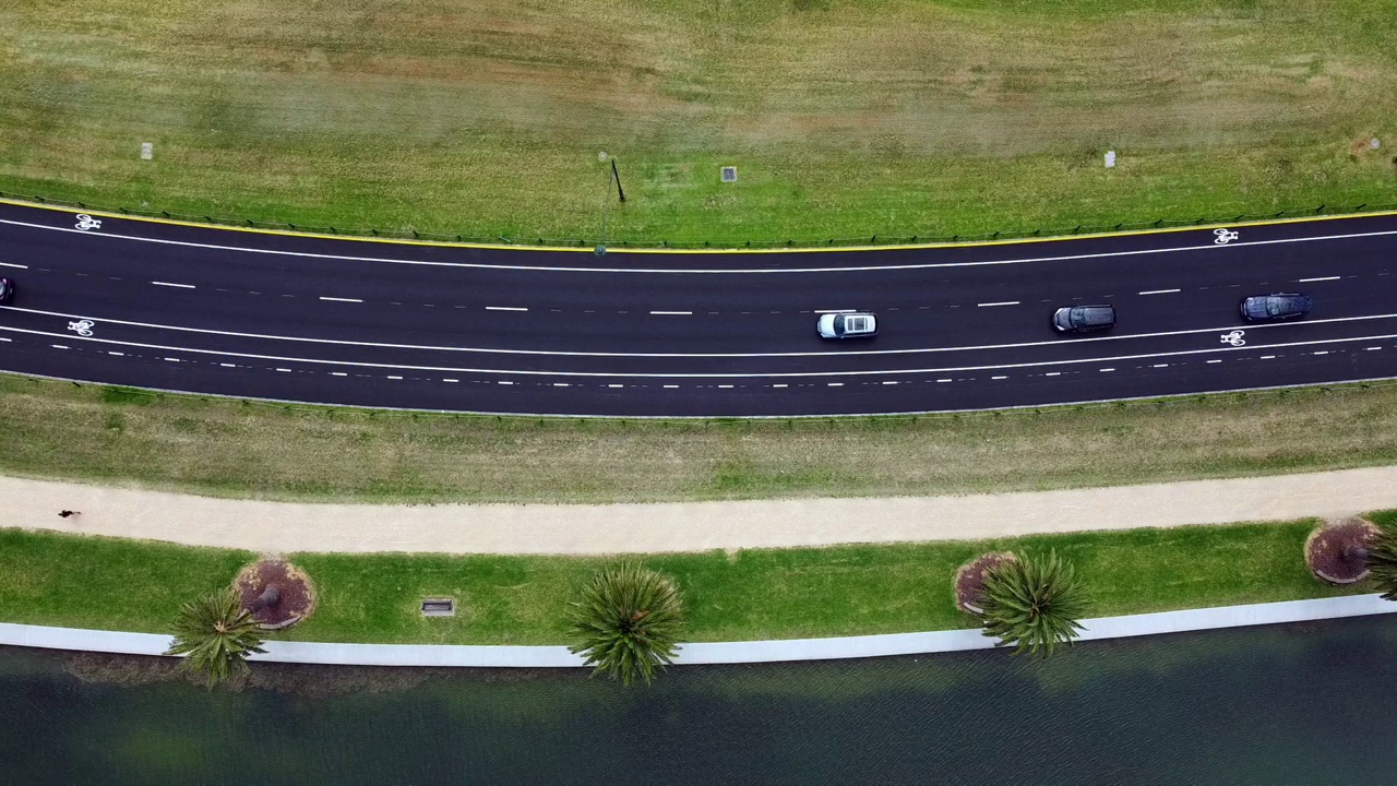 鸟瞰汽车沿着湖边的道路行驶，自行车道和有棕榈树的步行道。展示不同的交通方式，驾驶，骑自行车，步行和跑步。阿尔伯特公园湖视频素材