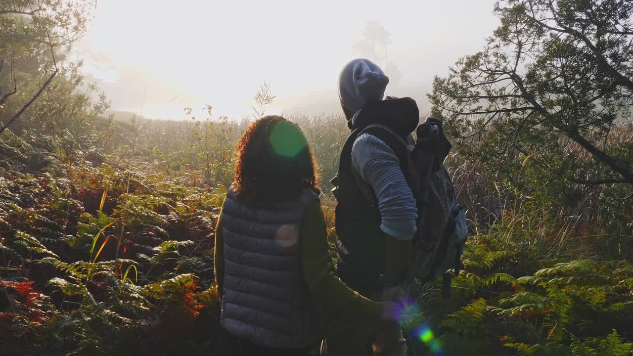 一对深情的年轻夫妇在阳光明媚的秋日树林里徒步旅行视频素材