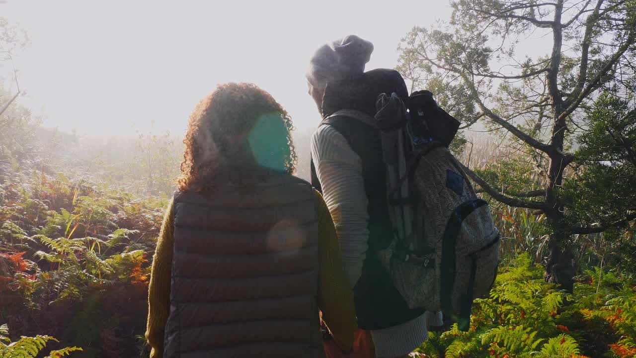 一对年轻夫妇在阳光明媚的秋日树林里徒步旅行视频素材