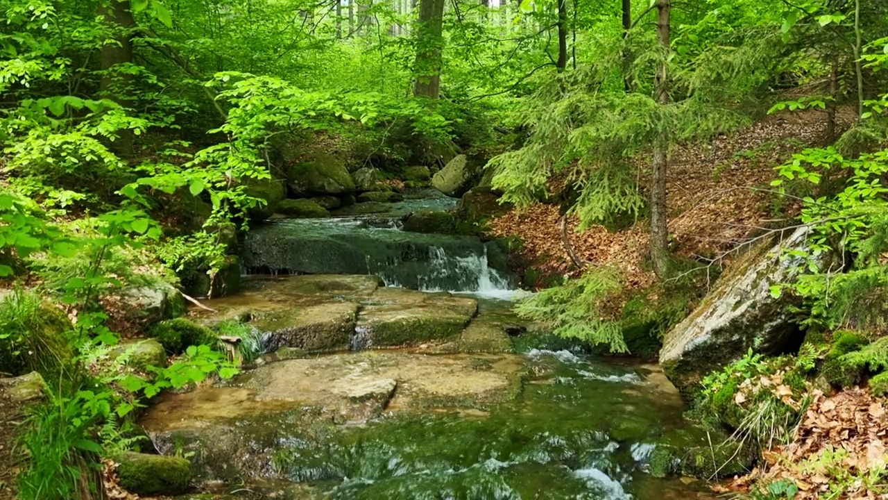 在山区的森林里，一条风景如画的小溪流过石头。风景如画的放松的背景。在自然。新鲜干净的空气视频素材