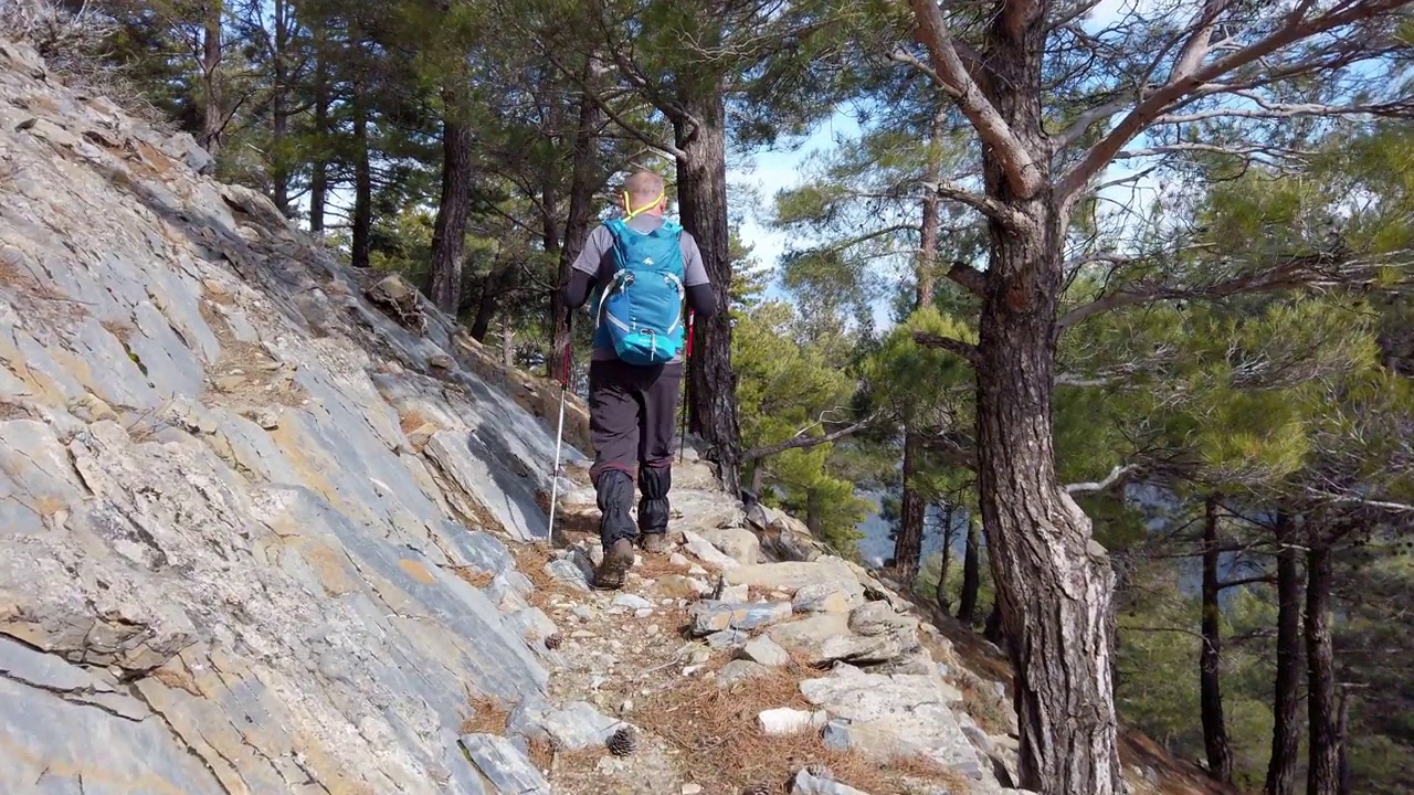 上了年纪的高山登山者正在森林里徒步旅行视频素材