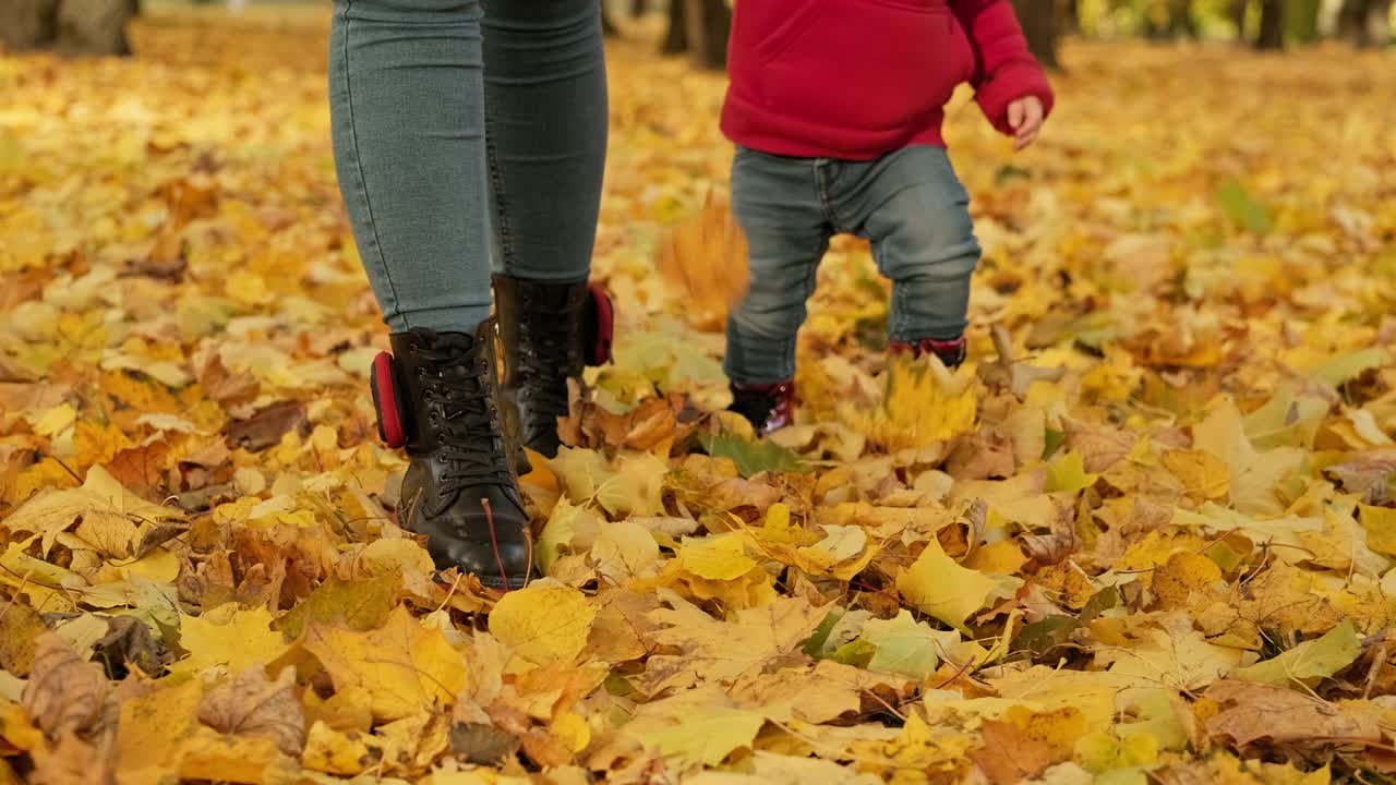 秋天，母女俩在阳光明媚的公园散步。母亲的概念。视频素材