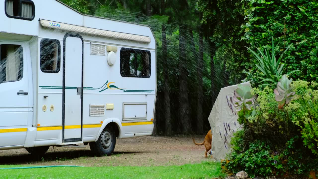 旅社附近的一名男子打了两条狗，草地正在浇水视频素材