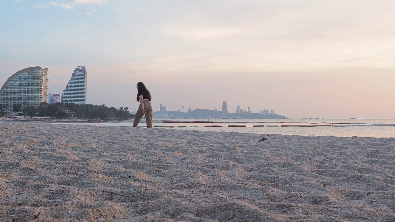 夕阳西下的芭堤雅海滩上，一对幸福的年轻夫妇牵着狮子狗散步。视频素材