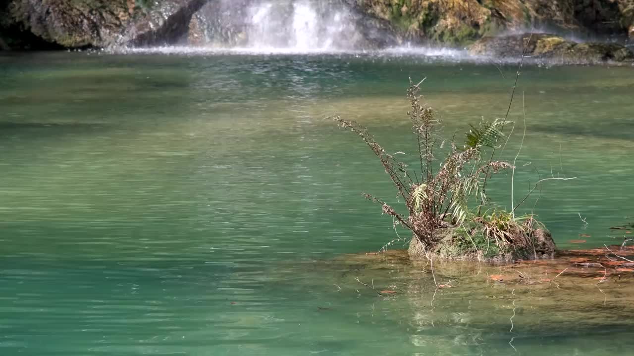 池塘的观点视频素材