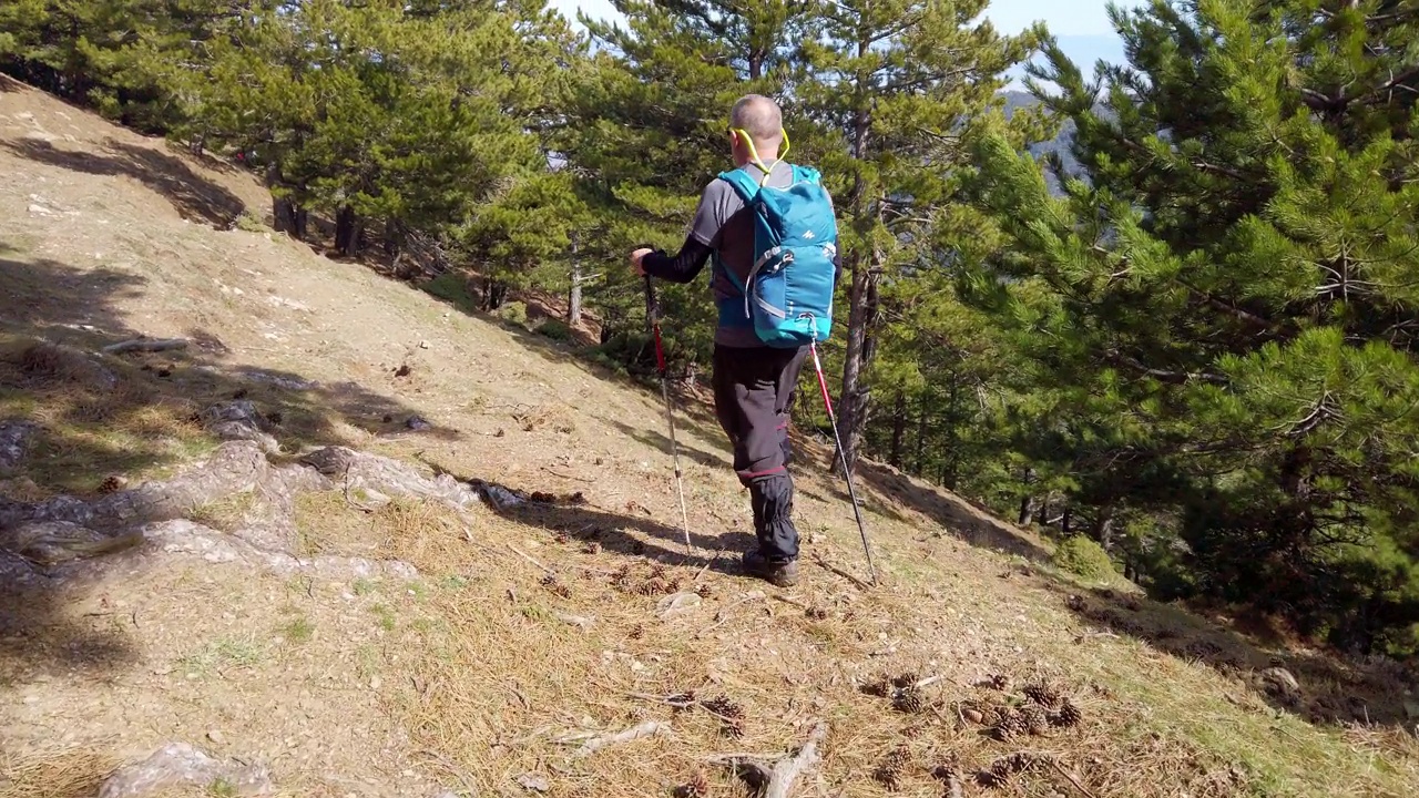 上了年纪的高山登山者正在森林里徒步旅行视频素材