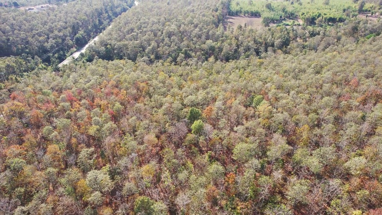 鸟瞰图，琅江道石灰岩山与公路之间的秋天森林在明亮的一天视频素材