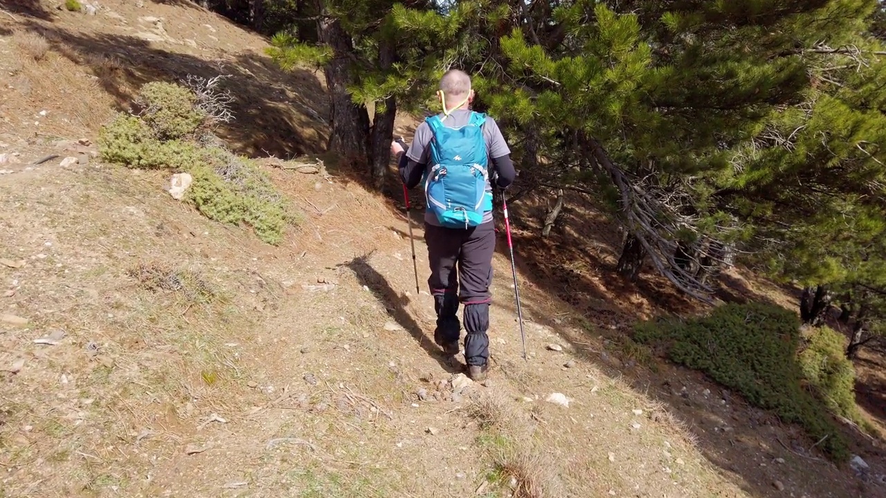 上了年纪的高山登山者正在森林里徒步旅行视频素材