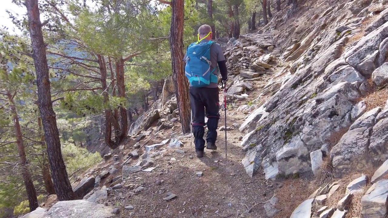 上了年纪的高山登山者正在森林里徒步旅行视频素材