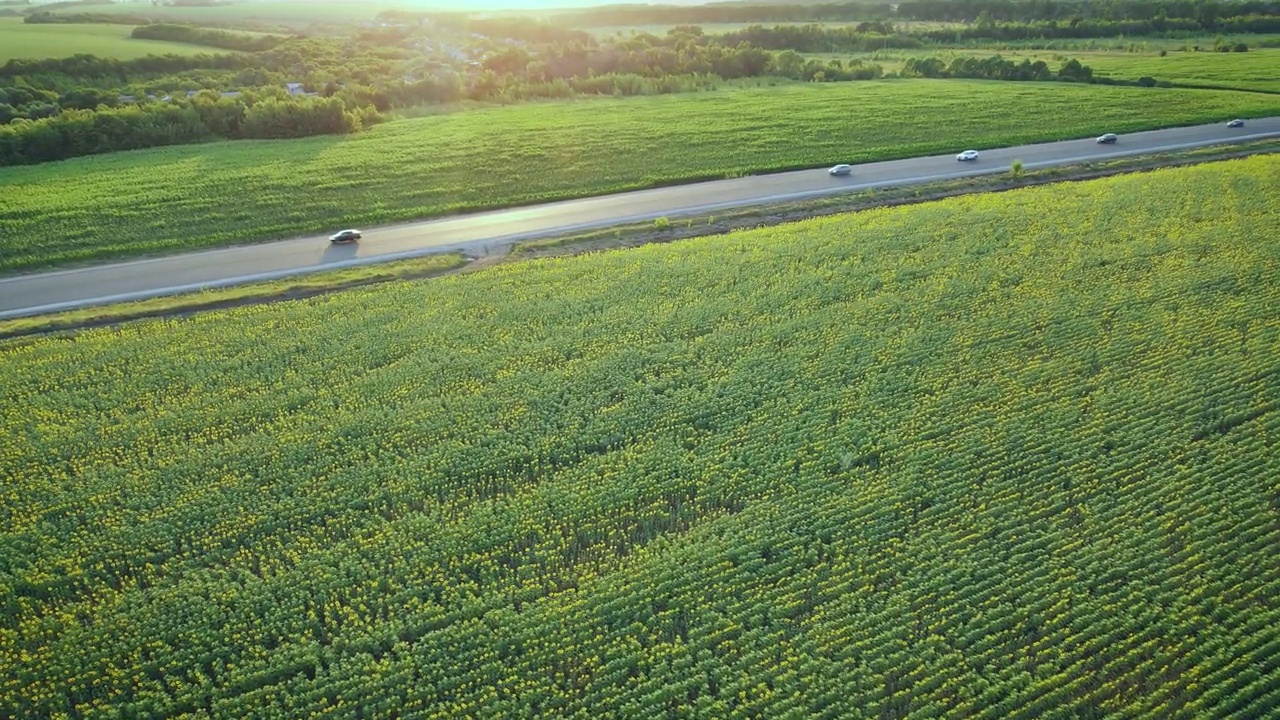 汽车在乡村的高速公路上行驶视频素材