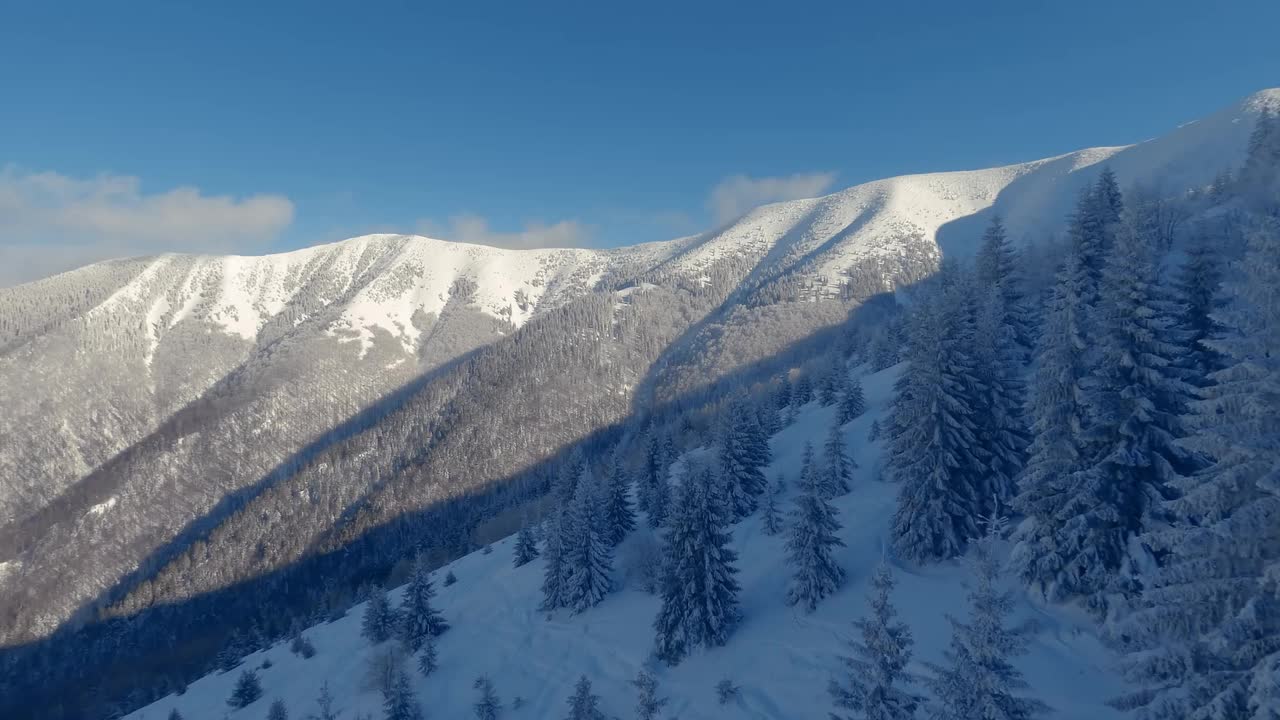 鸟瞰寒冷的冬季阿尔卑斯山山脉冰冻的森林，阳光明媚的自然景观视频素材