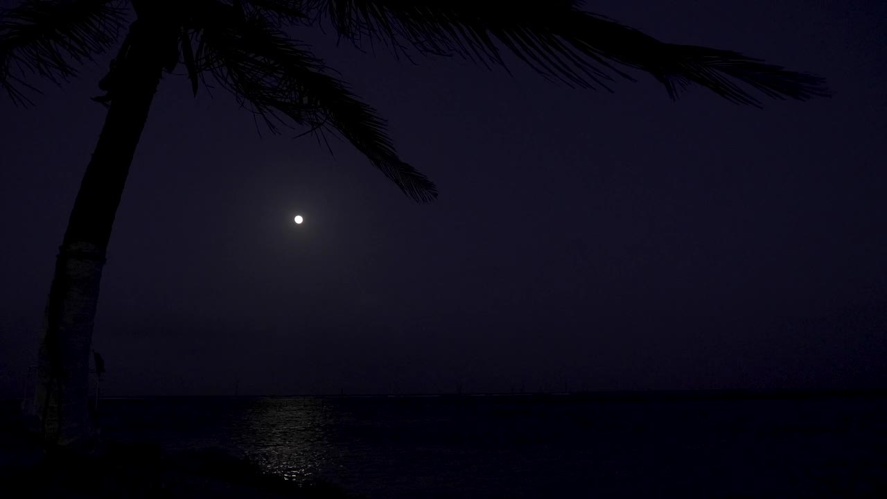 夜晚加勒比海海滩上的满月视频素材