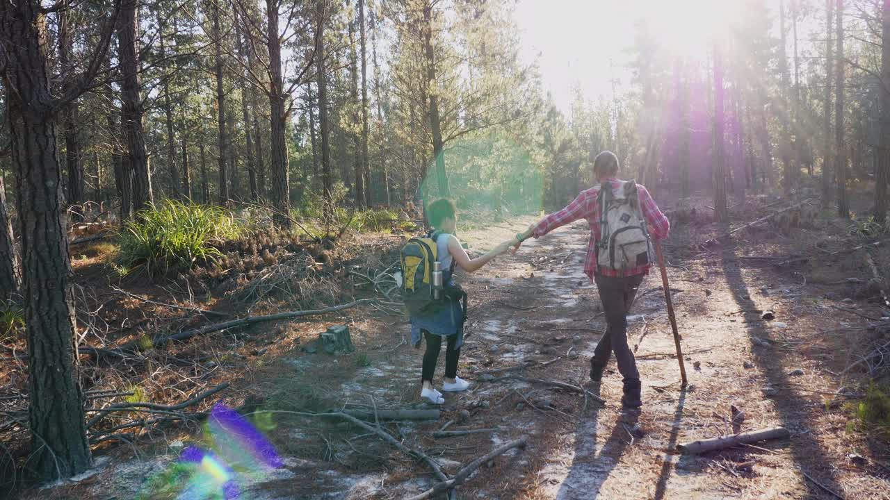 一对年轻夫妇在阳光明媚的树林里徒步旅行视频素材