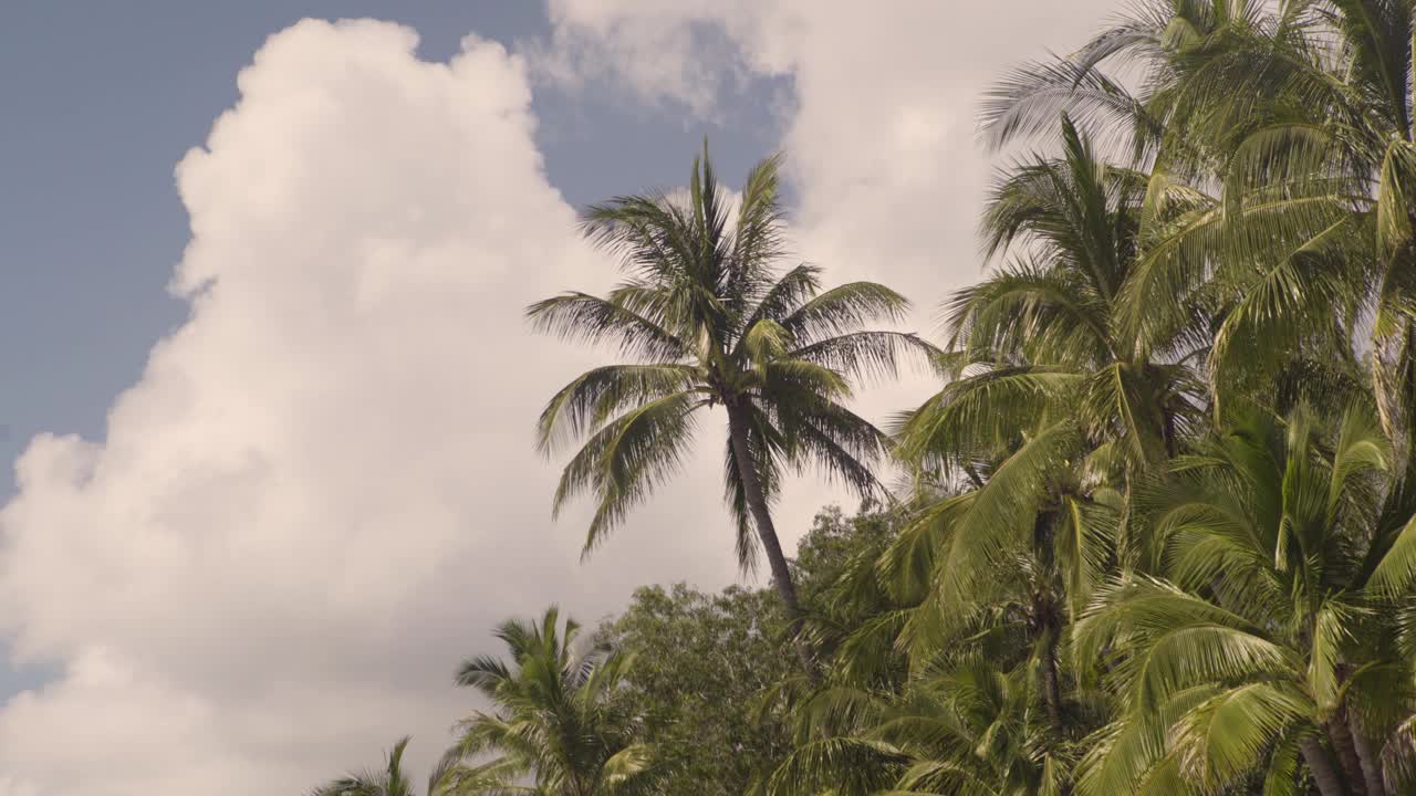 一个美丽的慢镜头俯瞰一个原始的热带海滩天堂，清澈的绿松石水遇见雨林。拍摄于昆士兰州北部凯恩斯的棕榈湾，摄于仲夏。在4 k拍摄视频素材