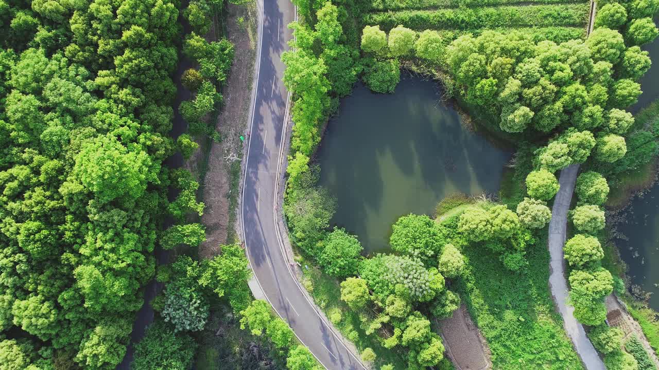 航拍森林小径视频素材