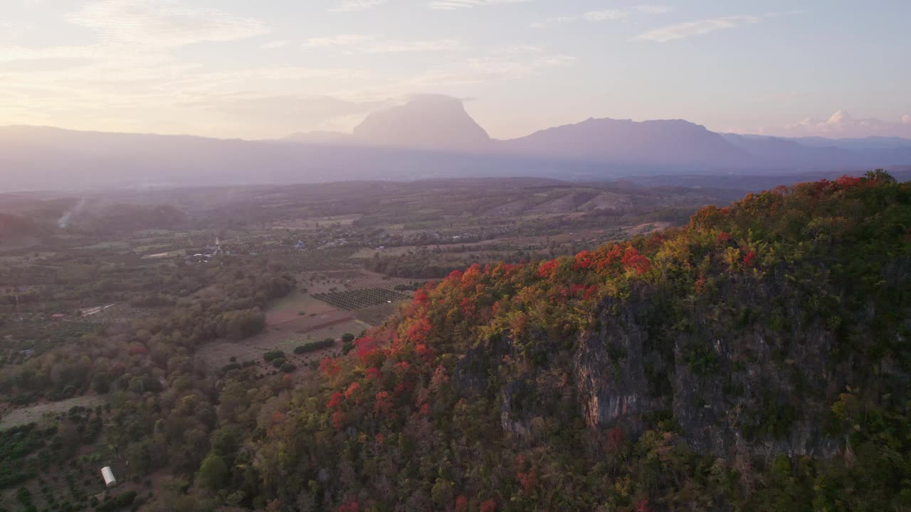 鸟瞰Doi Luang Chiang Dao山峰和乡村石灰岩山上的彩色森林视频素材