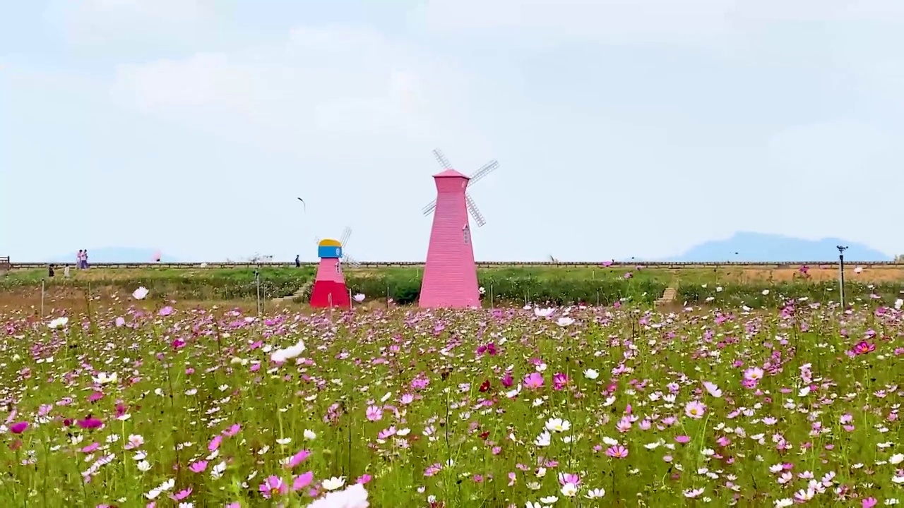 花园景观视频素材